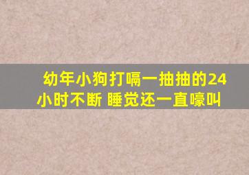 幼年小狗打嗝一抽抽的24小时不断 睡觉还一直嚎叫